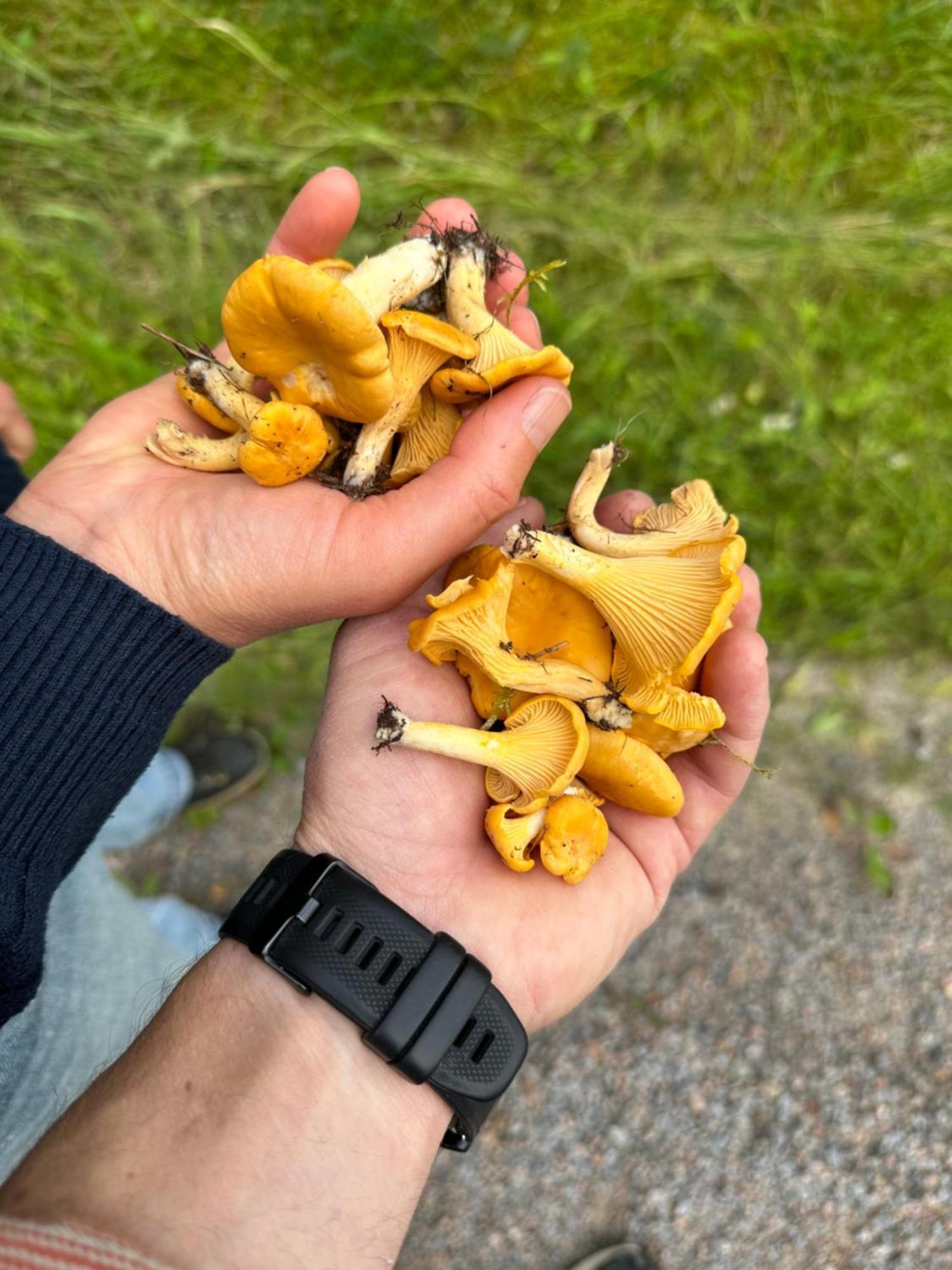 Hagbards By Gardspensionat Sloinge Bagian luar foto
