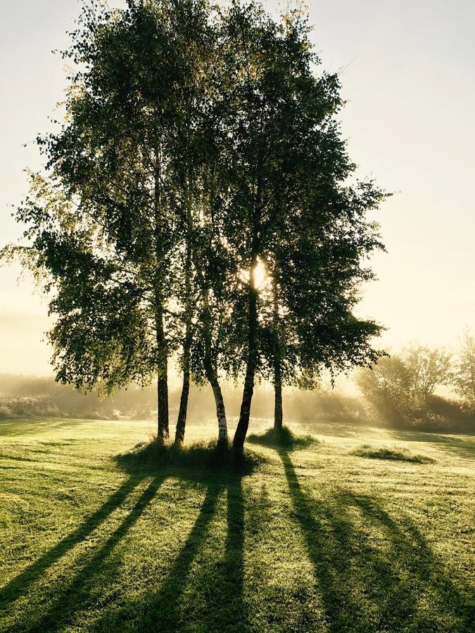 Hagbards By Gardspensionat Sloinge Bagian luar foto