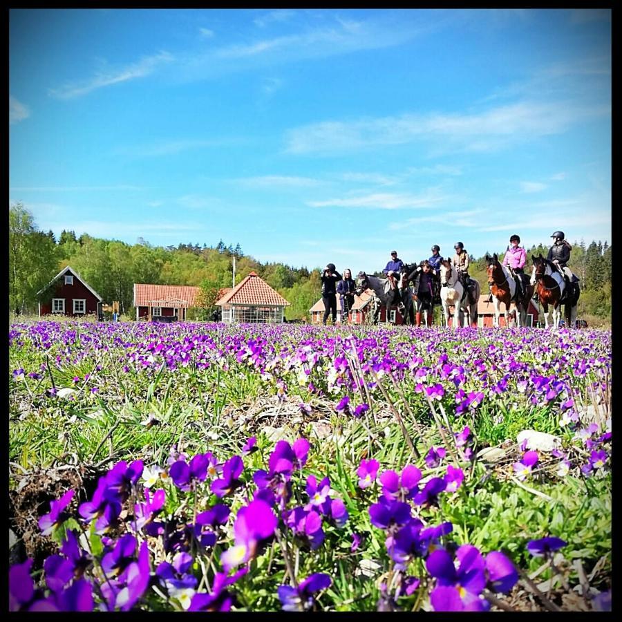 Hagbards By Gardspensionat Sloinge Bagian luar foto