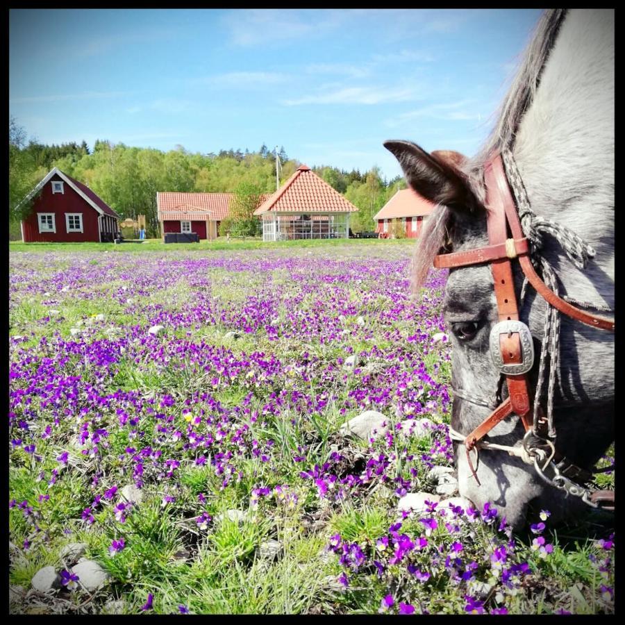 Hagbards By Gardspensionat Sloinge Bagian luar foto